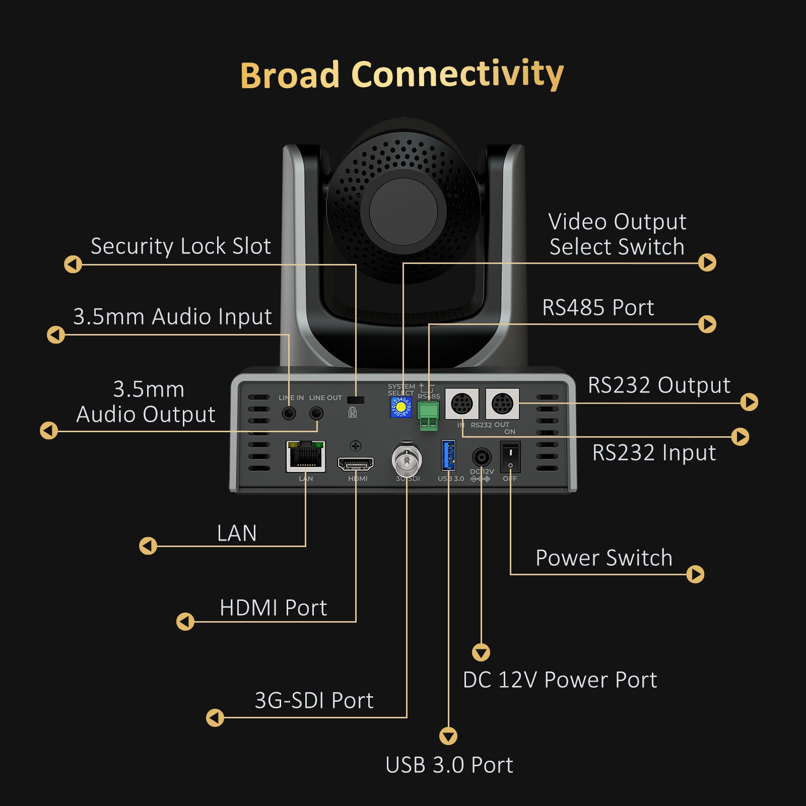 Widespread connectivity.