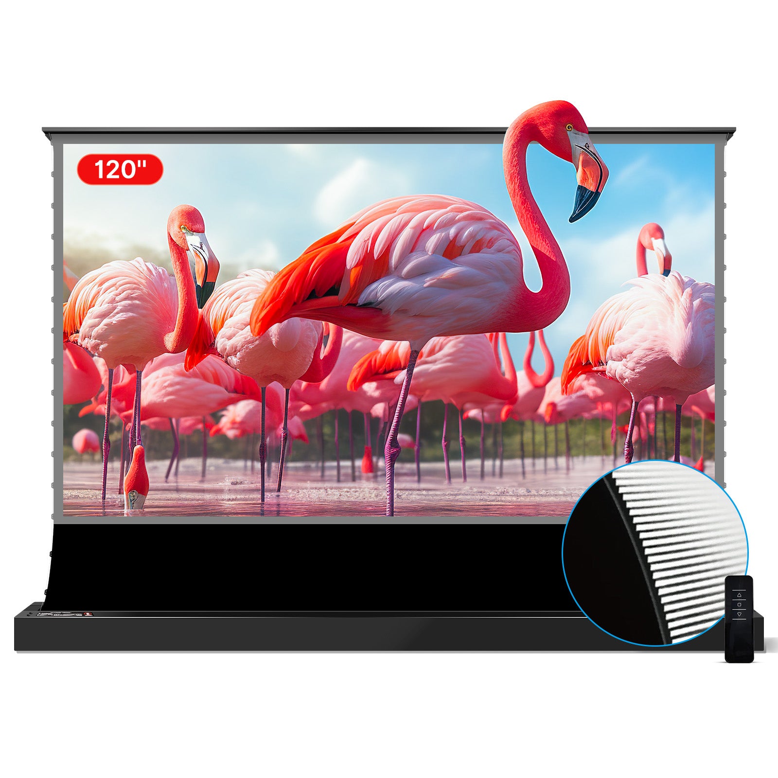 This is a white-background image with a 3D flamingo on the screen