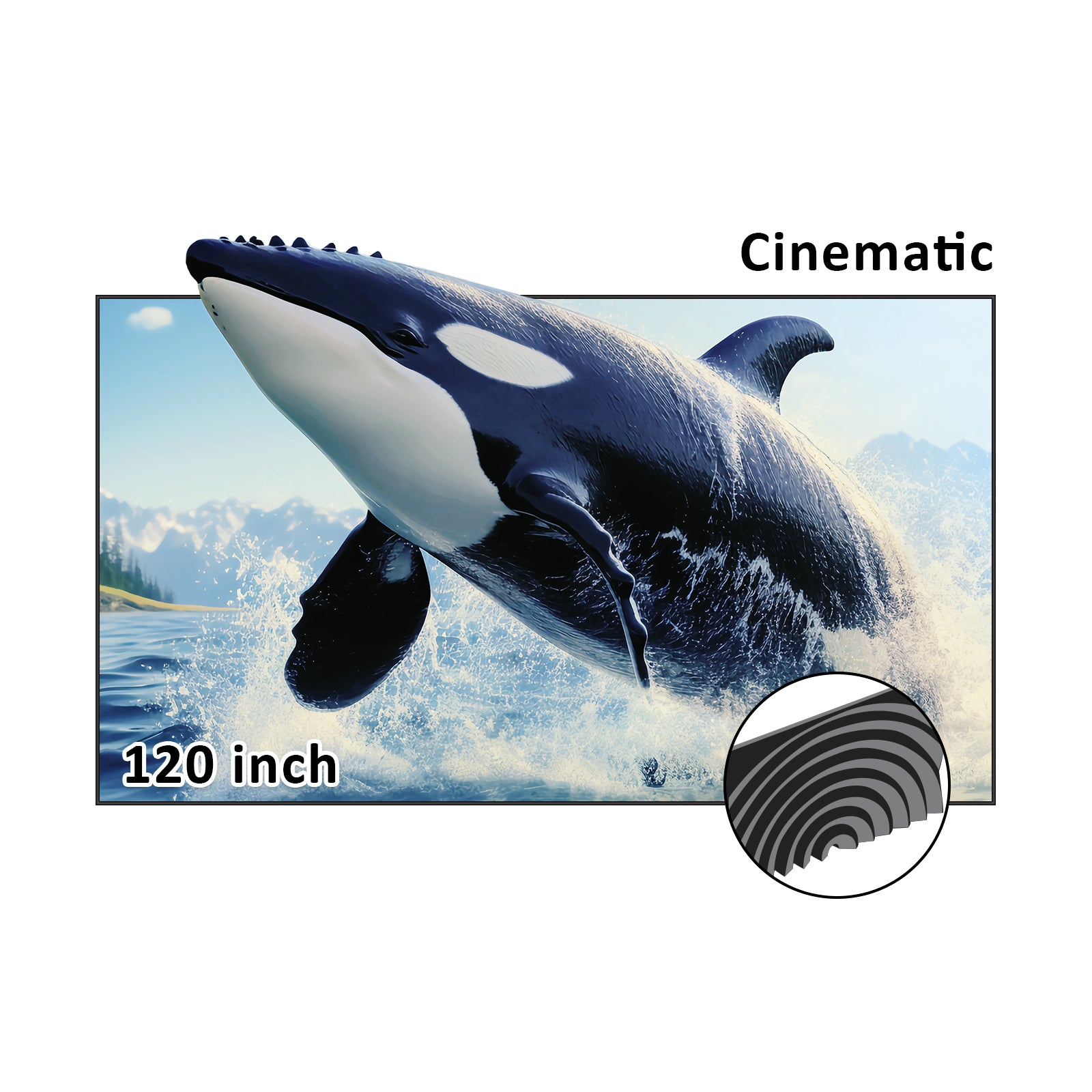 The concentric circle structure of the 120-inch cinematic Fresnel screen is projecting a whale projection.