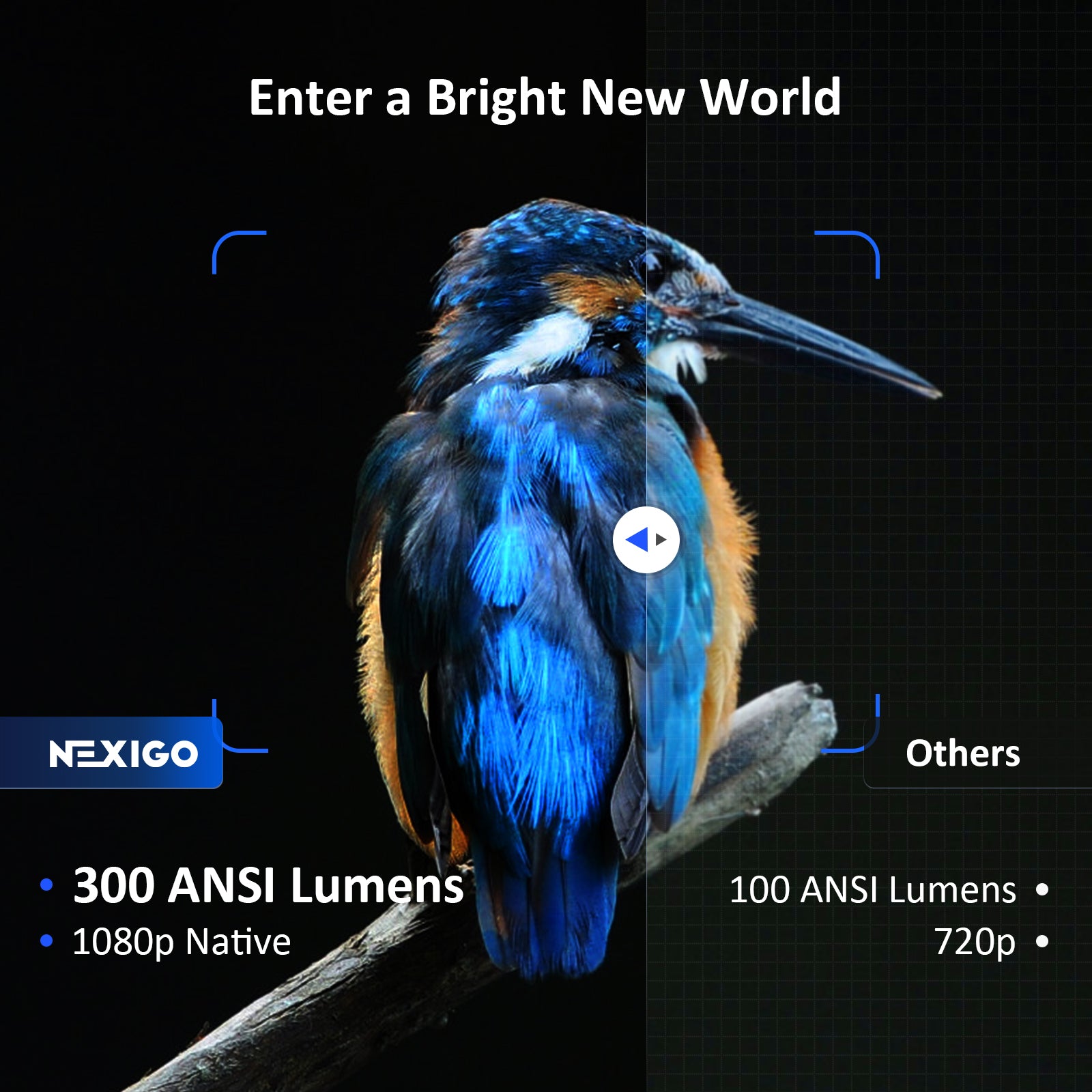PJ10's 1080p resolution and 220 ANSI lumens provide a sharp image while others are blurry.