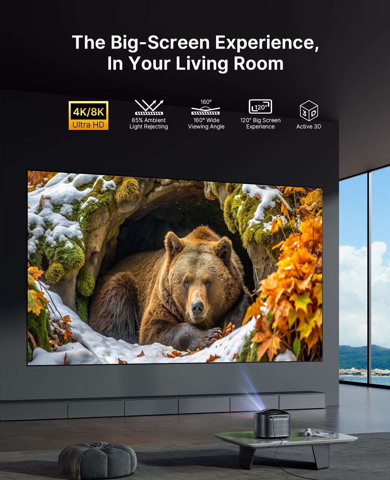 Even in light, a bear in cave stays vivid on Fresnel.