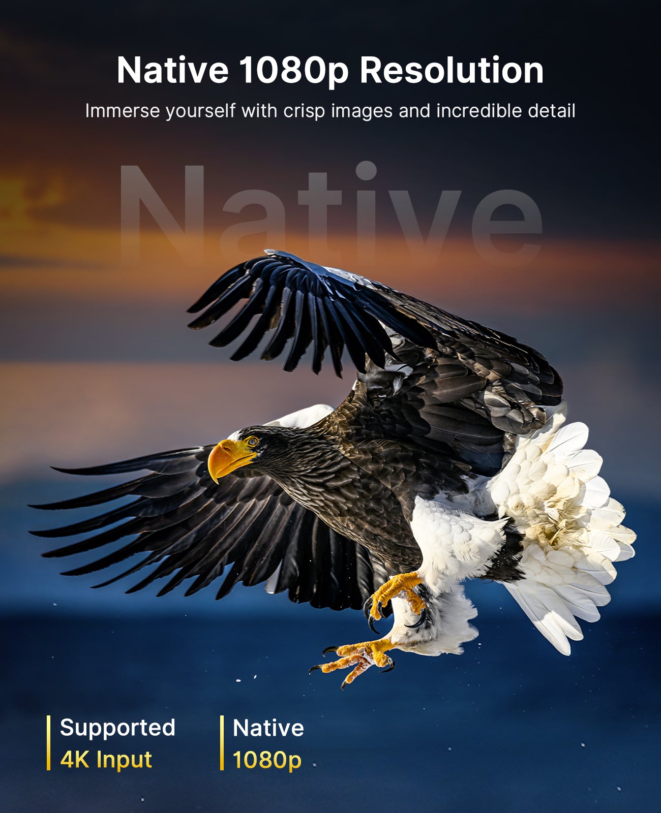 An image of a high-definition eagle is being projected.