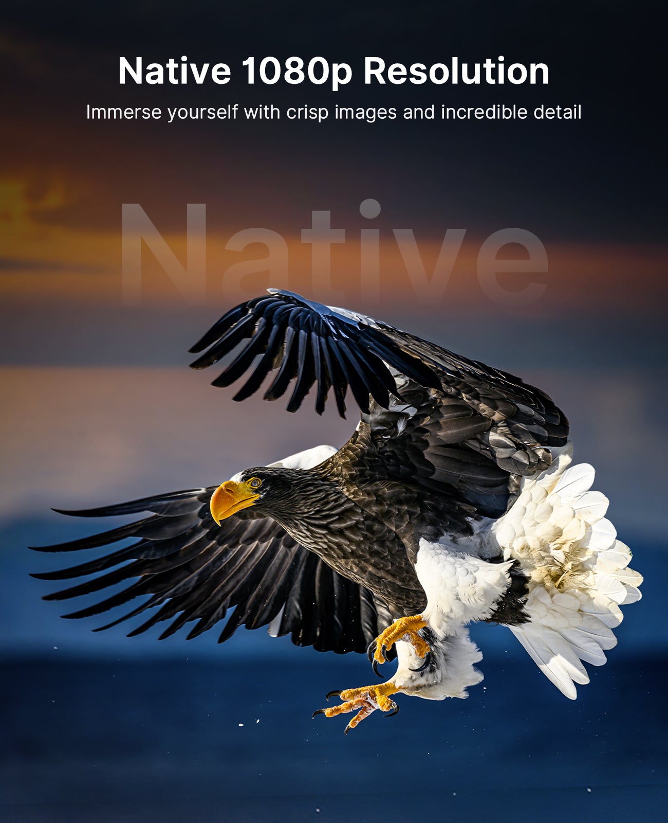 An image of a high-definition eagle is being projected.