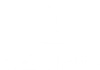 nexigo logo