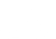 nexigo logo