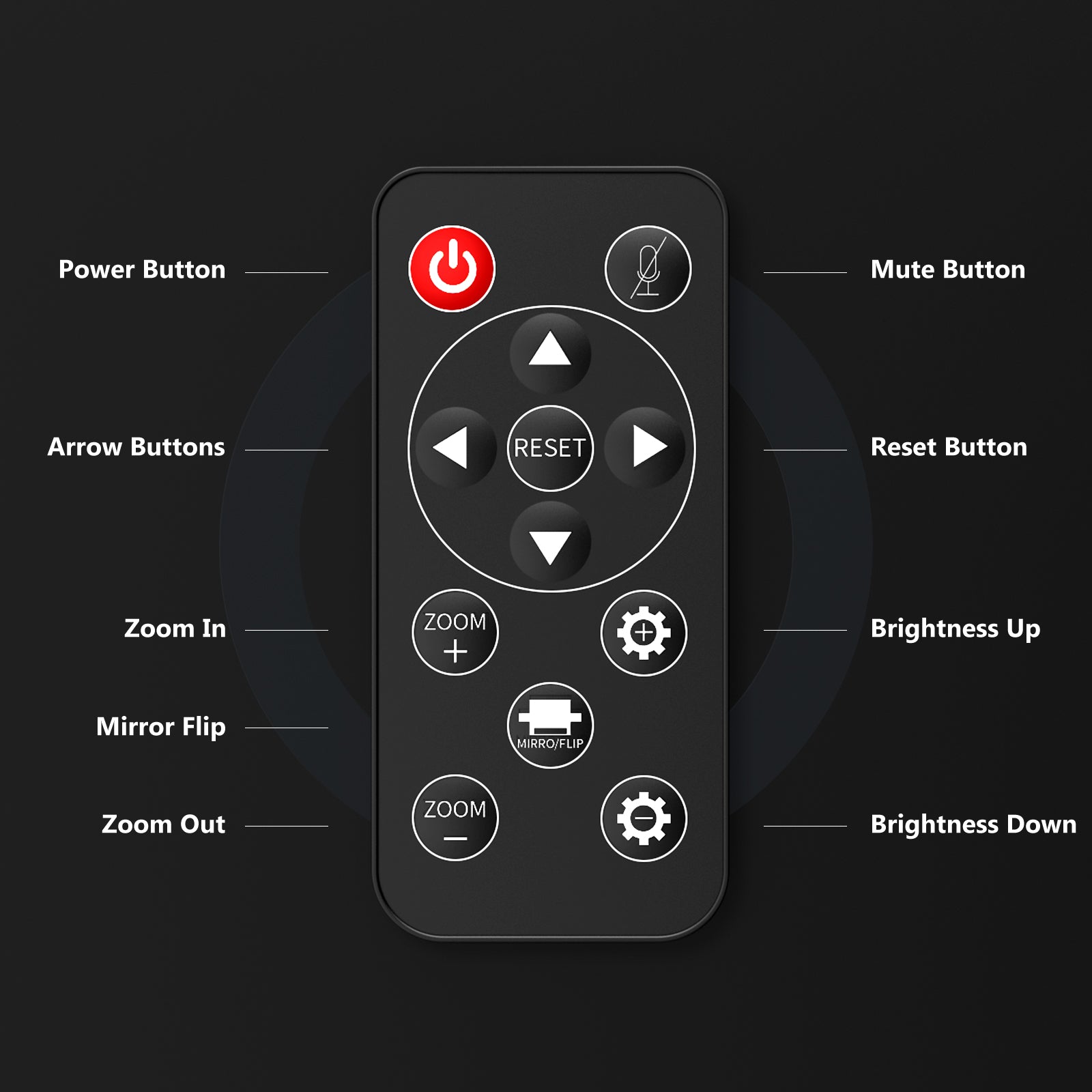 The N940E remote control is designed with Power, Arrow, Zoom In, Mirror Flip, Zoom Out, Mute, Reset, Brightness Up, and Brightness Down buttons.
